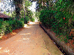 A view of narrow road leading to a colony in Kanoor village near Gonikoppa. DH photos
