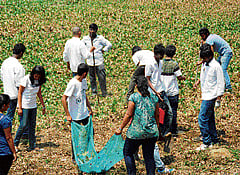 Volunteers weed Kengeri Lake on Saturday. DH Photo