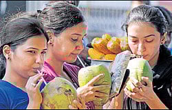 Beating the heat. DH photo/ S K Dinesh