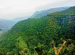 stunning locales (Top) One of the waterfalls in the valley; (above) the view of the ravine. photos by author
