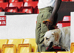 A personnel with sniffer dog inspects Chinnaswamy stadium on the eve of IPL cricket match, on Friday. dh photo