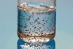 Tiny chiplets suspended in a solution that can be printed onto surfaces like ink in an undated handout photo. NYT