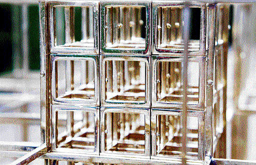 Creative: Carol Bove's outdoor pieces for Documenta 13.