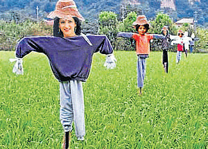 In the past farmers resorted to using effigies of devils to ward off "evil eyes" of passersby.