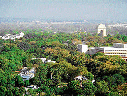 The canine members of the armed force are known for their pronounced olfactory capability.