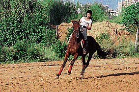 Horsepower: The trend of horse riding has grown in the recent past with more and more people signing up for this sport.