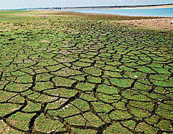 Supply of Hemavathy water  to KRS offers no respite