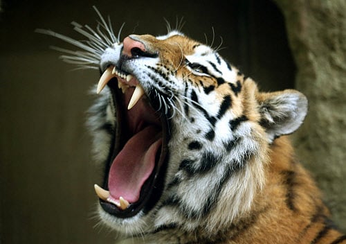 For representational purpose only. AP Photo