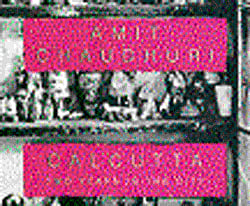 Calcutta: Two years in the city, Amit Chaudhuri Penguin  2013,
