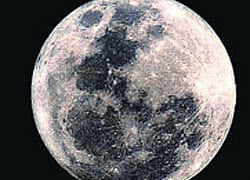 File Photo