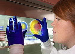 Representation Purpose. REUTERS