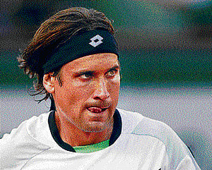 David Ferrer