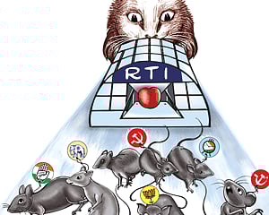 Politics under RTI spells chaos