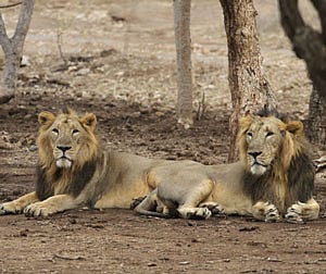 File photo. For representational purpose only.