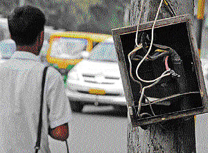 A trail of death by electricity