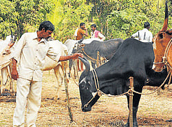 File Photo for representational purpose only