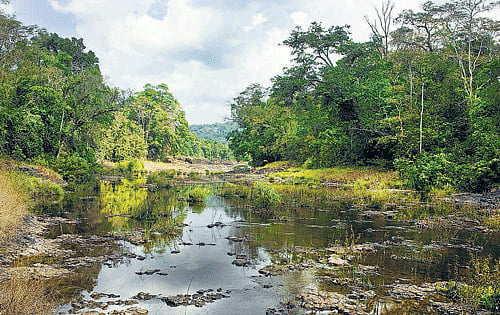 Exotic confines (Clockwise) The dense expanse of the forest region; houses on stilts; the path to the village settlements. photos by author
