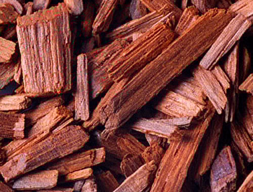 File image: For representational purpose