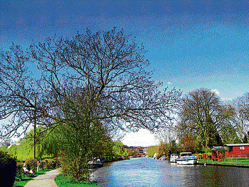 Spring in the step: A view of the Thames from the walkway. Photo by author