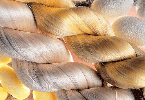 weaving a yarn: Each foreign expert had a hand in the development of the Indian silk  industry.  Photos by the author