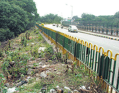 Work on Sankey tank  embankment soon
