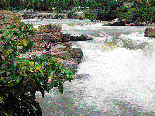 sight to behold With the Monsoon in full cry, the river is in full flow, leaping over rocks and fissures, creating wide cascades. (Photos by author)