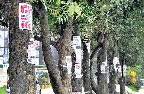 blemish Posters pasted on trees near Manyata Techpark on Outer Ring Road. DH Photo by BK Janardhan