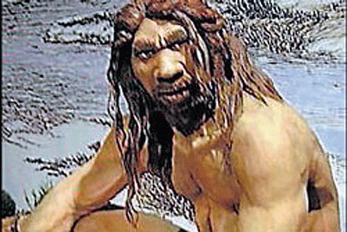 Early humans hunted giant prehistoric elephant for its meat