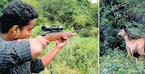 High alert at national parks, sanctuaries