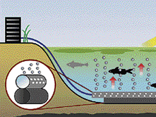Oxygen injection to save Ulsoor Lake