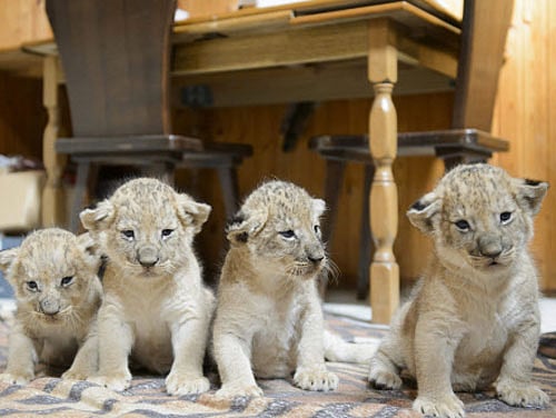 AP Photo. For representation purpose only.