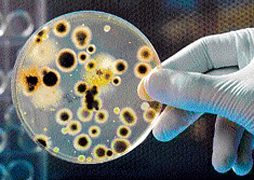 For representation purpose