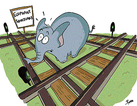 campaign for a cause Comics by Rohan Chakravarthy (inset) aim to create awareness about environmental issues.