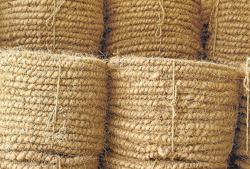 Bloom time: Karnataka eyes coir dividend