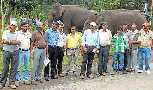 Not in favour: Members of Kaveri Sene and villagers stage a protest against the work on the high-tension wire at Lingapura in Virajpet taluk, on Sunday. DH PHOTOS