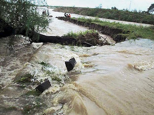 Roads are flooded due to heavy rains in Srikakulam and Nalgonda districts in Andhra Pradesh. PTI Photo
