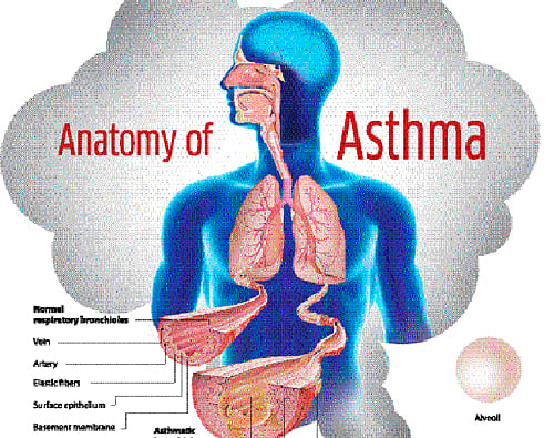 Rains leave City wheezing