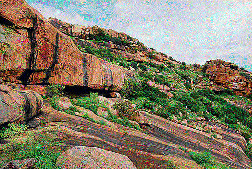 hidden wealth The hills around Koppal are littered with Jain epigraphs and memorials. The rocky landscape of Koppal came to be called an Aditirtha for its 772 Jain temples. The area achieved fame as a pligrim centre, between the 9th and 16th Centuries. Palkigundu or the palanquin rock has also hosted the Mauryara angadis or shop of Mauryas and many of Emperor Ashoka's edicts. photos by author