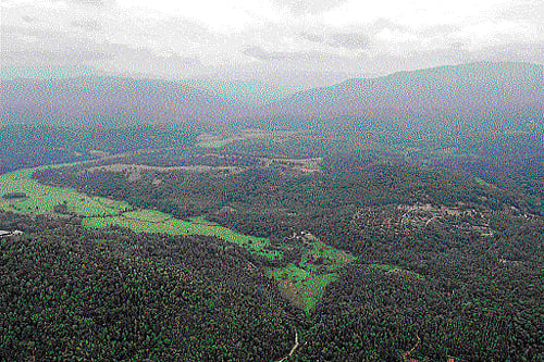 mitigation measures: According to a study, compensation measures that are scientifically evaluated and monitored for efficacy before investing huge  sums of money must be implemented. (dh file photo)