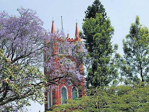 St Andrew's church nourishes a rich flora. (Photo: Mark Joshi)