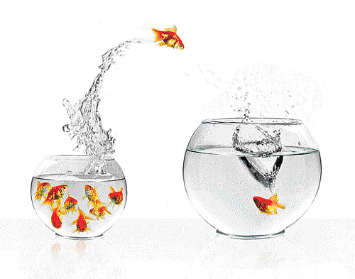 Would you take the leap?