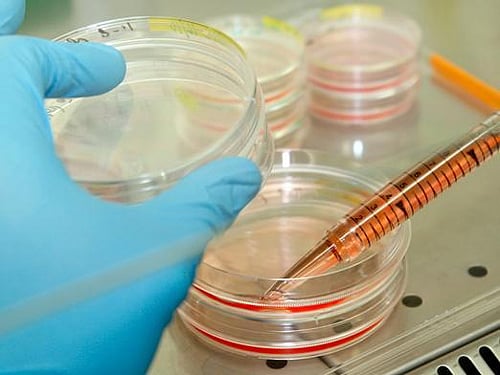 In a major find, researchers have discovered a second code hiding within DNA which has instructions on gene control. Reuters File Photo.