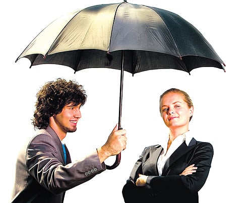 All for you, my lady