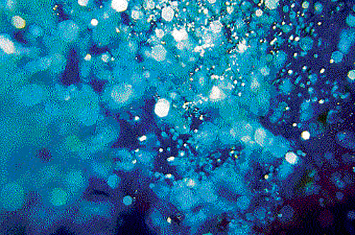 deep secret: Knowing how water behaves will help understand the movement of minerals. (photo: getty images)