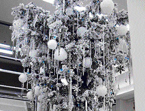Festive spirit: Inverted Christmas trees are in. (Photos by author)