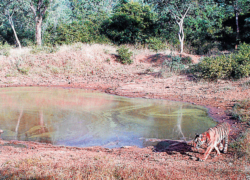The robots, which are equipped with 3D sensors, a camera and two compartments each able to carry up to 20 kg (44 lb) of food or parcels ordered online. 
