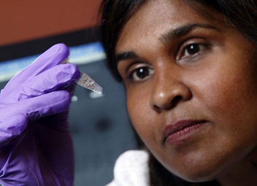 In a major breakthrough, new research has identified how HIV infection causes mass suicide of immune cells and how an existing anti-inflammatory drug can block cellular self-destruction. AP file photo