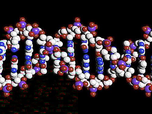 Male chromosome is not dying out, says study. Reuters file image: For representational purpose
