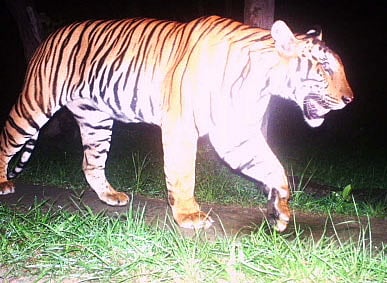 File photo -for representational purpose only. DH