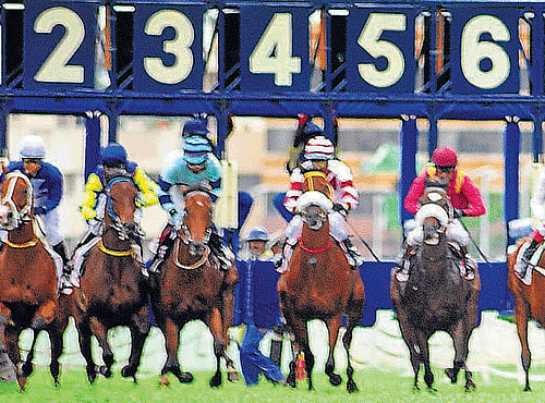 let the games begin: Despite some big names missing out, the Bangalore Winter Derby will not lack in excitement as the City's racing fans flock to the Bangalore Turf Club on Republic Day. FILE PHOTO